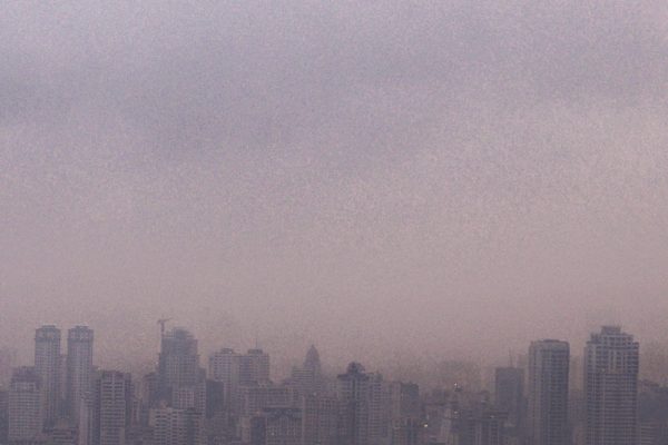 Vague Land | 2015